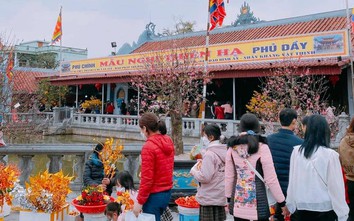 Dừng tổ chức chợ Viềng, du khách vẫn về dâng lễ, cầu lộc đầu năm ở Phủ Dầy