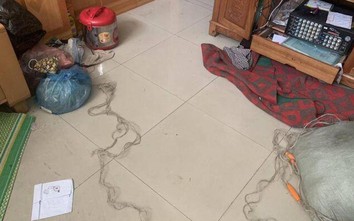 Điều tra nghi án chồng giết vợ rồi dùng dây điện tự sát bất thành