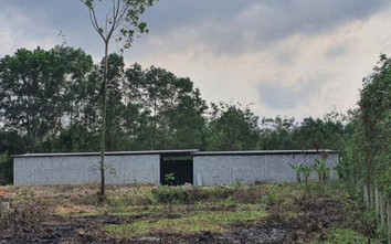 Quảng Bình: Sẽ xử lý việc xây nhà, trồng cây gần dự án cao tốc chờ đền bù