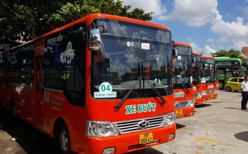 Không cần trợ giá, nhiều hãng xe buýt “sống tốt”