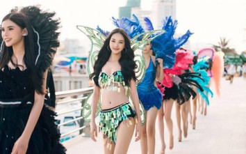 25 cuộc thi hoa hậu, Cục NTBD khẳng định "con số này là không nhiều"