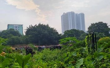 Hoàng Mai: Trường học chậm triển khai do quy hoạch trên nghĩa địa, ao đình