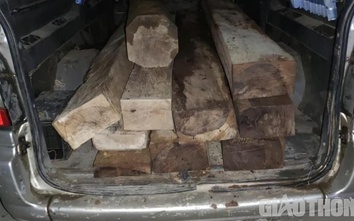 Gặp công an, tài xế chở gỗ lậu vội vứt ô tô, chạy vào rừng trốn