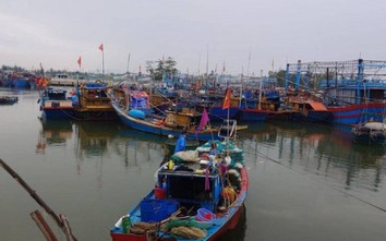 Không cấp phép tàu thuyền đi vào vùng nguy hiểm bão số 7