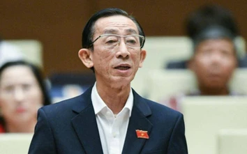 Đại biểu Trần Hoàng Ngân: "Nhìn sân vận động Mỹ Đình rất đau xót"
