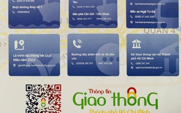 TP.HCM ra mắt cổng thông tin giao thông phản ánh "xe dù, bến cóc" dịp Tết