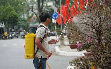 Chợ Tết miền Tây vắng vẻ những ngày cuối năm