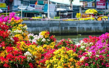 Sắc Xuân ngập tràn sông nước miền Tây