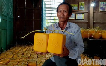 Trái dưa hấu méo mó kẹt giữa hốc đất và ý tưởng giúp người nông dân đổi đời