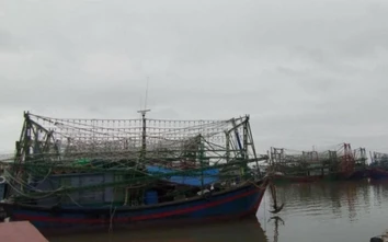 Mỏi mắt tìm không được thuyền viên, hàng trăm tàu cá Hải Phòng nằm bờ
