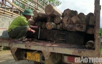 Lâm tặc đuổi đánh, dọa giết kiểm lâm khi bị truy đuổi chở gỗ lậu liên tỉnh