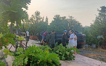 TP.HCM: Xế hộp quật đổ cây xanh rồi chổng vó trên đại lộ nghìn tỷ