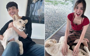 Động thái của hoa hậu Tiểu Vy giữa tin đồn hẹn hò tài tử Thái Lan