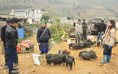 Độc đáo chợ phiên vùng biên ở Lào Cai