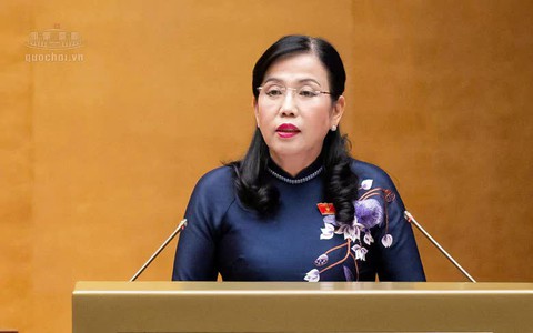 Không chuyển toàn bộ rủi ro đầu tư, kinh doanh sang Nhà nước hoặc người sử dụng điện