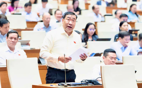 ĐBQH đề nghị miễn tiền sử dụng đất cho hộ nghèo, cận nghèo là người dân tộc thiểu số