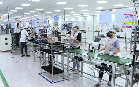 Quảng Ninh: Kinh tế tư nhân đóng góp hơn 45.000 tỷ đồng vào ngân sách