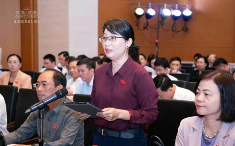 Đại biểu Quốc hội đề nghị đưa tài xế công nghệ, shipper tham gia bảo hiểm xã hội bắt buộc