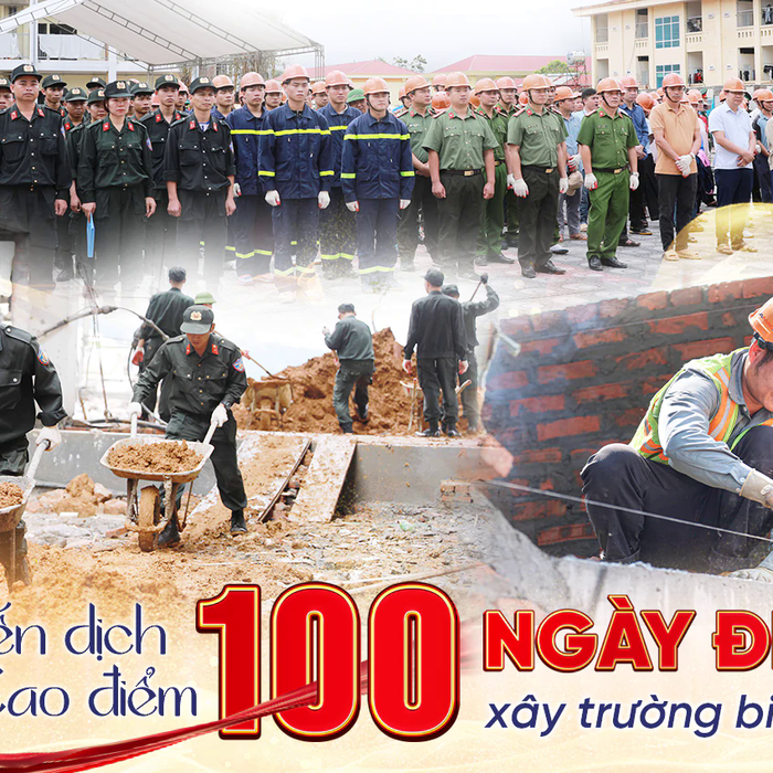 Bài viết
