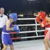 Gần 250 võ sĩ tranh tài tại Đại hội Boxing và Giải Boxing trẻ tỉnh Gia Lai lần thứ I