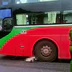Tin tức tai nạn giao thông mới nhất hôm nay 25/8/2026
