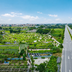Đừng để nghĩa trang làng bị bỏ lại phía sau đô thị hóa