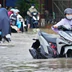Cà Mau: Mưa lớn kết hợp triều cường gây ngập sâu, bộ đội hỗ trợ người dân di chuyển
