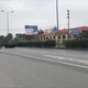 Video: Đàn trâu tràn ra quốc lộ suýt gây tai nạn nghiêm trọng