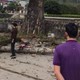 Video: Bị cành cây mục gãy rơi trúng đầu, người đi bộ tử vong tại chỗ